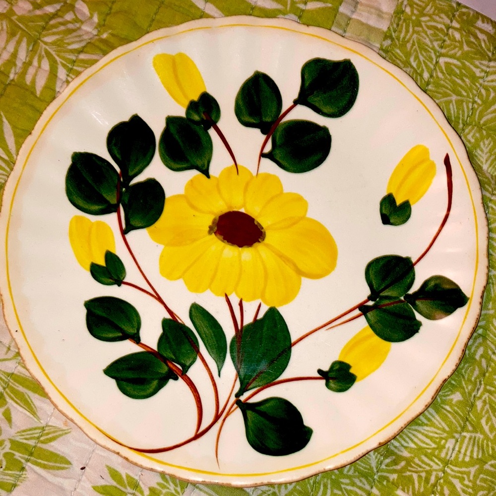 Vintage Blue Ridge hand painted pottery dish